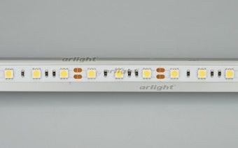  RT 2-5000 12V White6000 2x (5060, 300 LED, LUX) (arlight, 14.4 /, IP20)