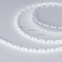  MICROLED-5000L 24V White6000 4mm (2216, 120 LED/m, LUX) (arlight, 5.4 /, IP20)