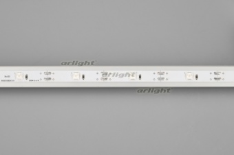  RT-5000-6060LENS-20-12V Cool 8K (10mm, 10W/m, IP20) (arlight, )